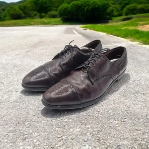 Allen Edmonds Sandford Cap Toe Oxford Mens Burgandy Dress Shoes With Bag Sz 14 B