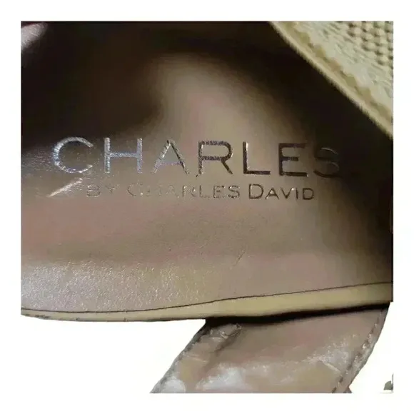Charles By Charles David Women's Lupita Platform Cork Wedge Sandals