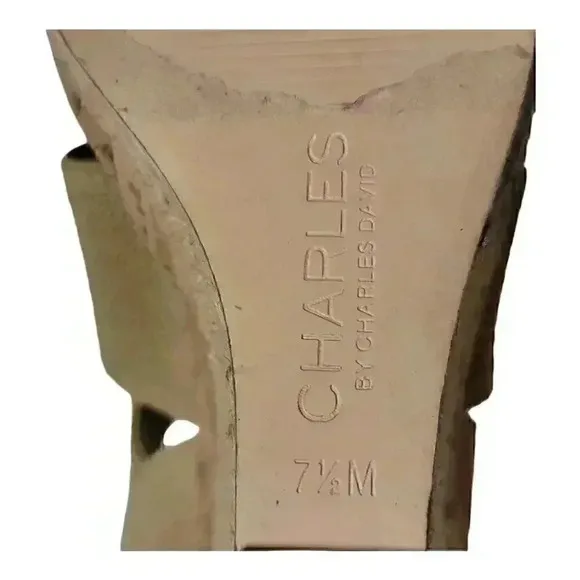 Charles By Charles David Women's Lupita Platform Cork Wedge Sandals