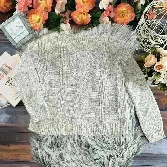 Eileen Fisher Peppered Classic Cotton Blend  Cable Knit Boat-Neck Sweater, XS