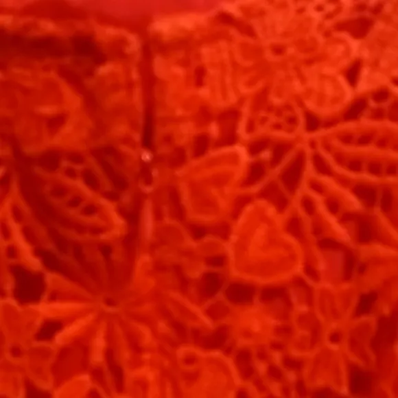 FINAL PRICE NWOT DONCASTER COLLECTION burnt orange 2-pc crocheted laced suit