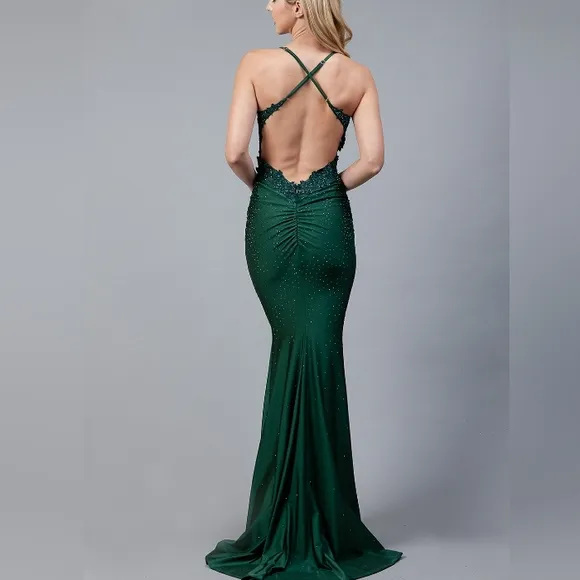 Fitted illusion lace appliqued beaded gown