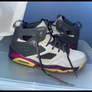 Jordan Flight Club 91 Purp And Nike Lebron XIV Low Dark Stucco Size 11.5 Bundle