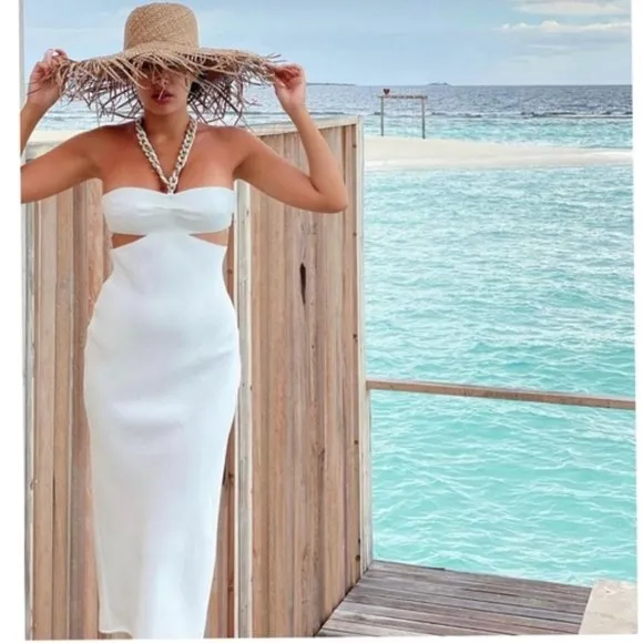 LAST ONE! BLOGGER'S FAVE! Zara Cut Out Dress NWT