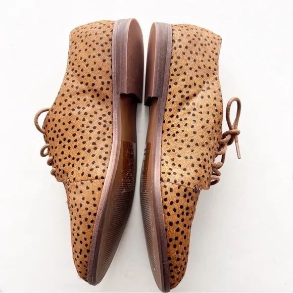 Madewell The Alex Oxford in Spot Dot Calf Hair Shoes Lace Up Animal Print