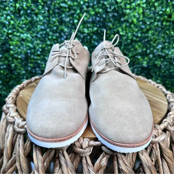 Nisolo x Anthropologie travel derby in stone new in box
