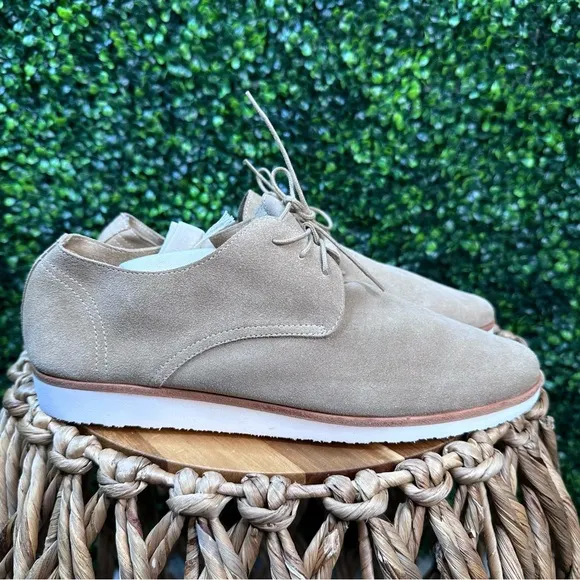 Nisolo x Anthropologie travel derby in stone new in box