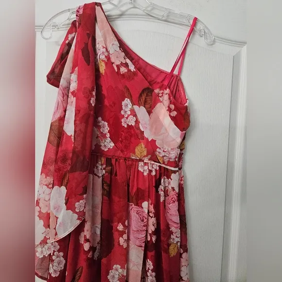 NWT Adrianna Papell Floral One Shoulder Chiffon Maxi Dress Sz 0