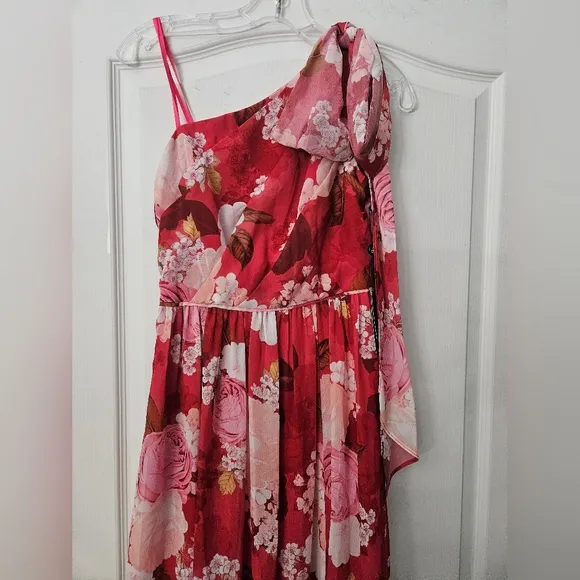 NWT Adrianna Papell Floral One Shoulder Chiffon Maxi Dress Sz 0