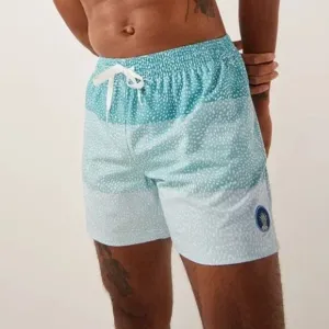 NWT Chubbies Men's S The Whale Sharks 5.5&quot; Classic Swim Trunk Blue Stripe Spots