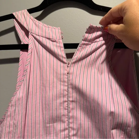 NWT Parker Pink Pinstripe Tie Front Dress