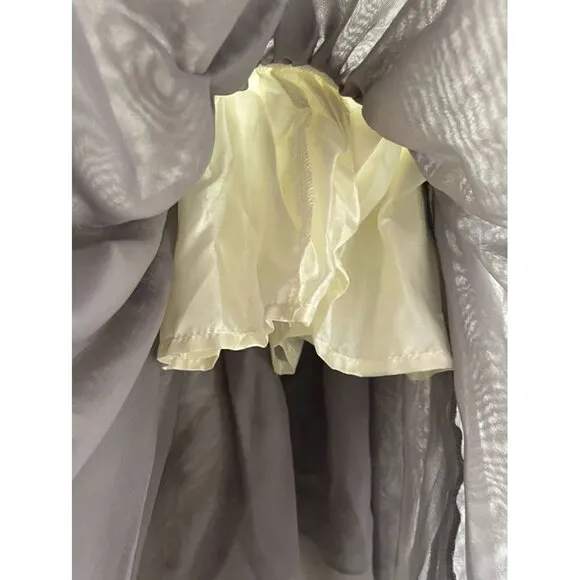 Pleiades Girls Dress Size 12M Gray Scoop Neck Metallic Star Chiffon Ombre Skirt