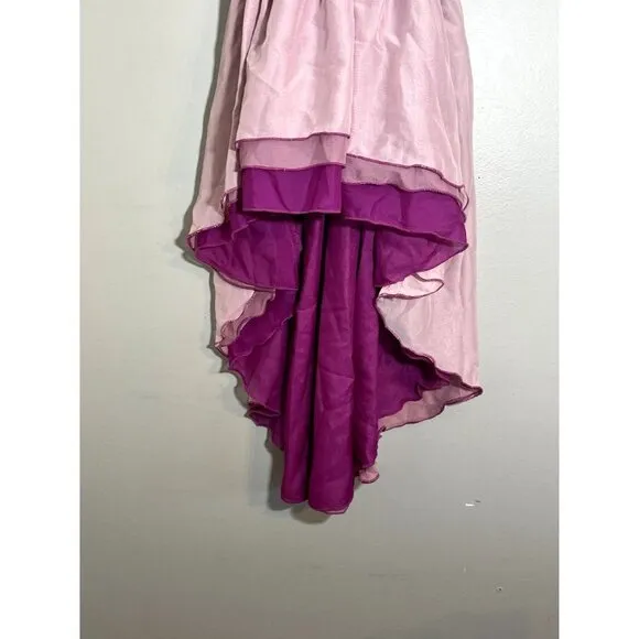 Pleiades Kids Dress Size 2T Pink Scoop Neck Gray Rose Floral Ombre Chiffon Skirt