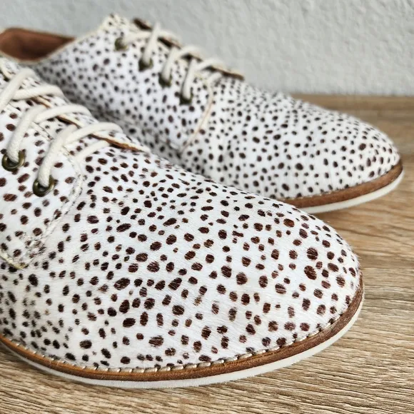 ROLLIE Lightweight Derby Lace Up Flat Oxfords in Snow Leopard Calf Hair 38