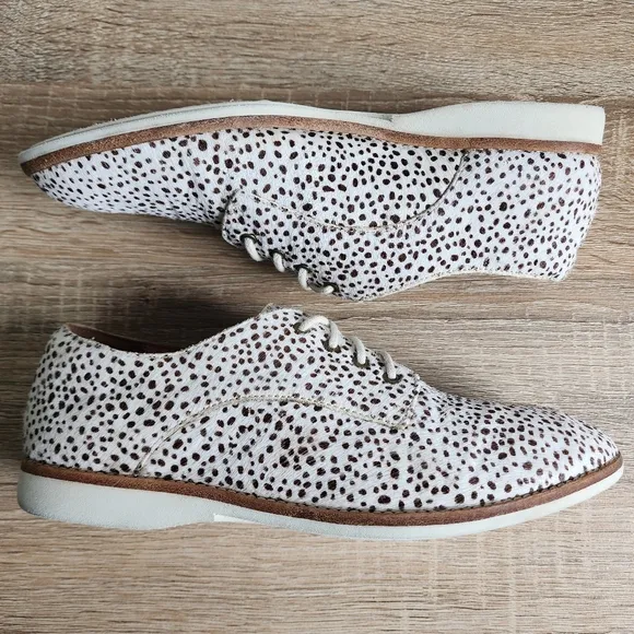 ROLLIE Lightweight Derby Lace Up Flat Oxfords in Snow Leopard Calf Hair 38