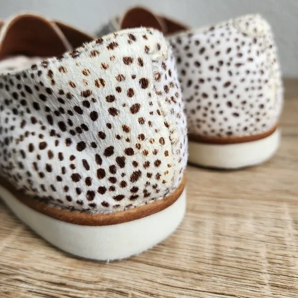 ROLLIE Lightweight Derby Lace Up Flat Oxfords in Snow Leopard Calf Hair 38