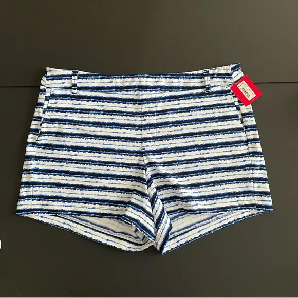 Spanx Sunshine Shorts 4” Blue Painted Stripe