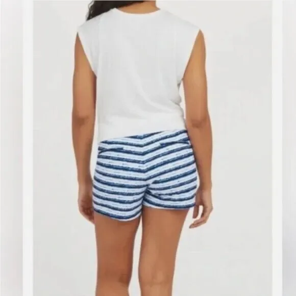 Spanx Sunshine Shorts 4” Blue Painted Stripe