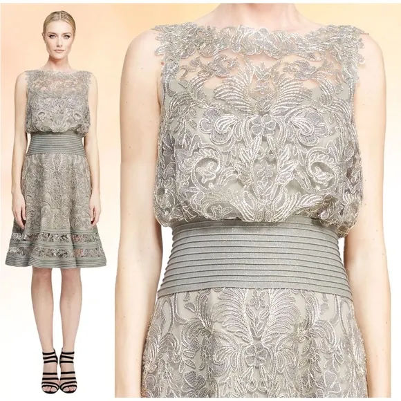 Tadashi Shoji Ariana Metallic Smoke Pearl Tulle Lace Pintuck Waist Dress