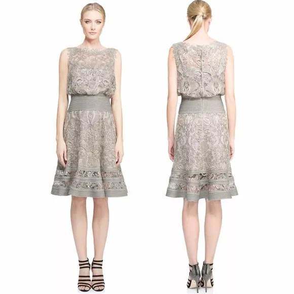 Tadashi Shoji Ariana Metallic Smoke Pearl Tulle Lace Pintuck Waist Dress