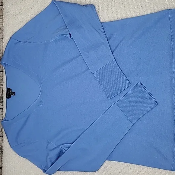 Talbots Pure Merino Wool Long Sleeve V-Neck Sweater in Light Blue