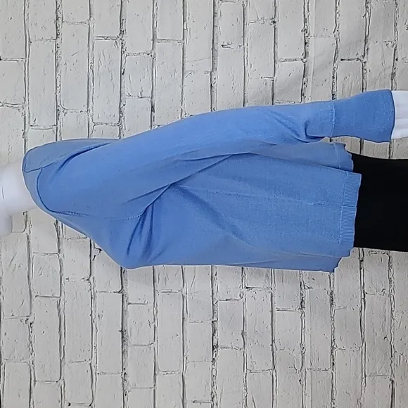 Talbots Pure Merino Wool Long Sleeve V-Neck Sweater in Light Blue