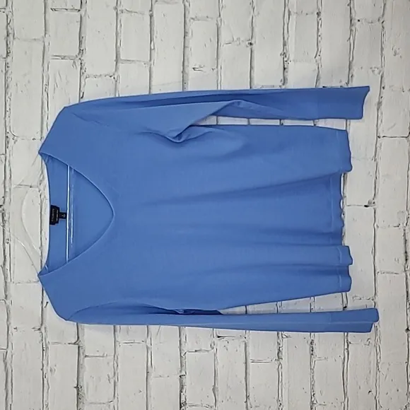 Talbots Pure Merino Wool Long Sleeve V-Neck Sweater in Light Blue