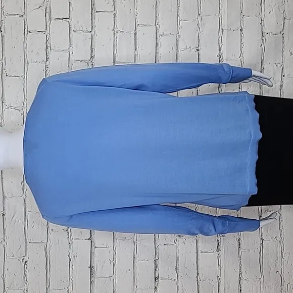 Talbots Pure Merino Wool Long Sleeve V-Neck Sweater in Light Blue