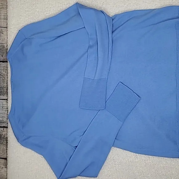 Talbots Pure Merino Wool Long Sleeve V-Neck Sweater in Light Blue
