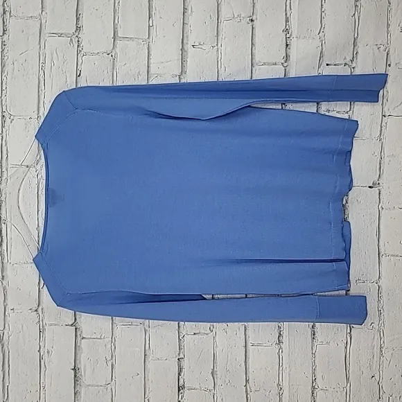 Talbots Pure Merino Wool Long Sleeve V-Neck Sweater in Light Blue